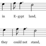 anacrusis-godownmoses